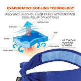 Ergodyne - Chill-Its 6700Ct, Cooling Bandana  Blue | 12567